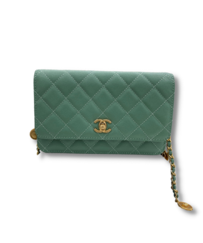 Wallet On Chain Green/Black/White For Women 7.4in/19cm AP3054